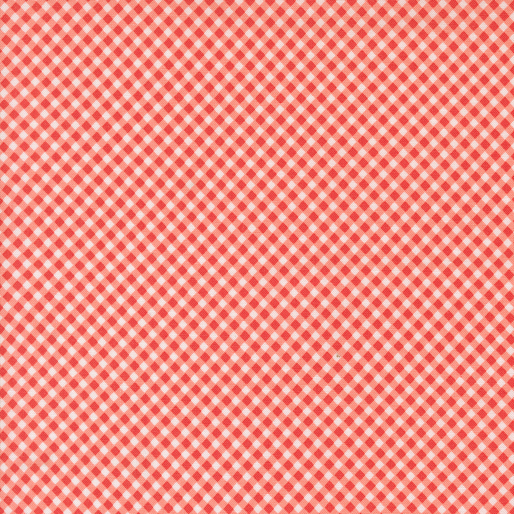 Raspberry Summer | Gingham Carnation