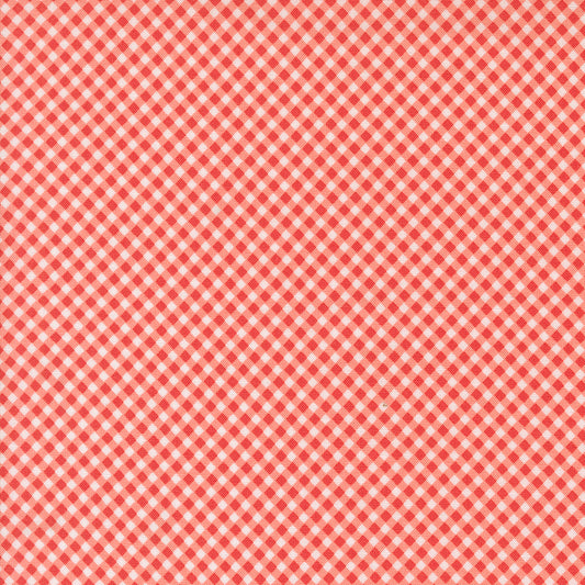 Raspberry Summer | Gingham Carnation