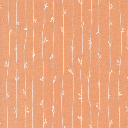 Rainier | Leather Bound Book Stripes Peach