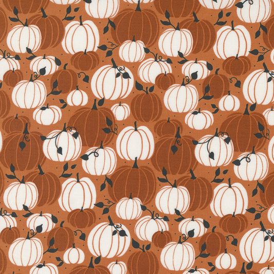 Spellbound | Fall Pumpkin Patch Pumpkin