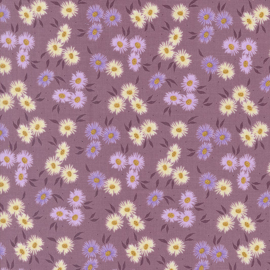 Seaglass Summer | Beach Asters Plum