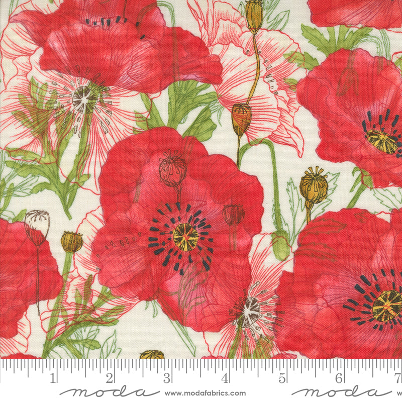 Superbloom | Large Poppy Cream