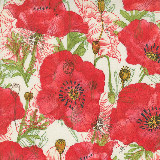 Superbloom | Large Poppy Cream