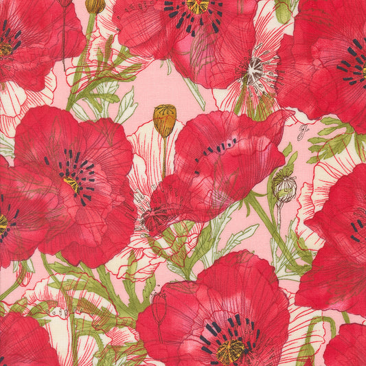 Superbloom | Large Poppy Carnation