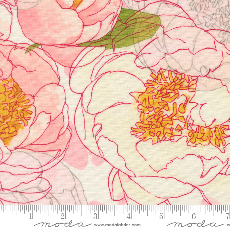 Darling Peony | Large Floral Watercolor Peony Cream