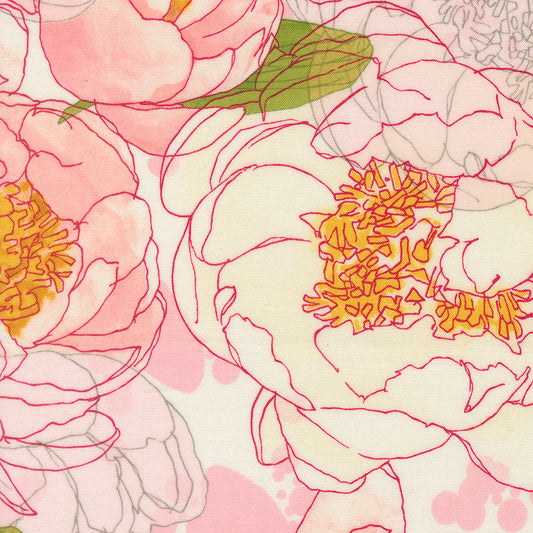 Darling Peony | Large Floral Watercolor Peony Cream