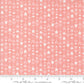 Love Blooms | Arrow Stripes Blush