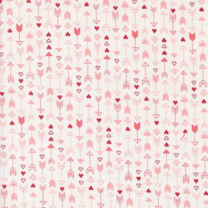 Love Blooms | Arrow Stripes Lace