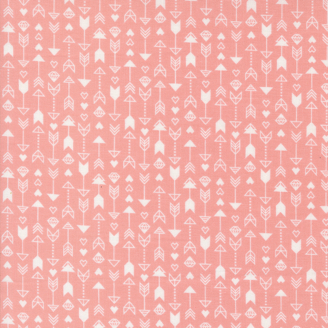 Love Blooms | Arrow Stripes Blush