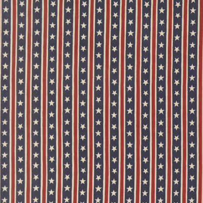 Fabric swatch with a pattern of red, white, and blue stars and stripes.
