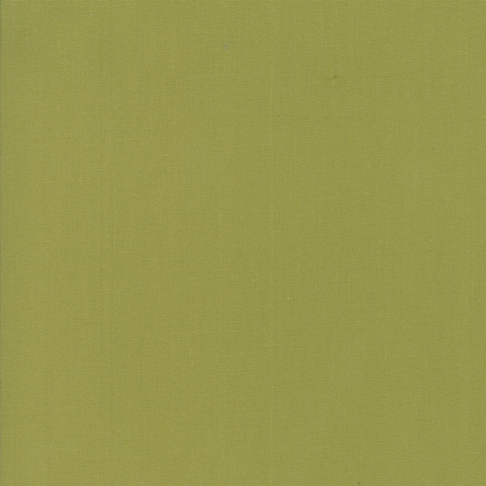 A fabric swatch of a green solid quilting cotton