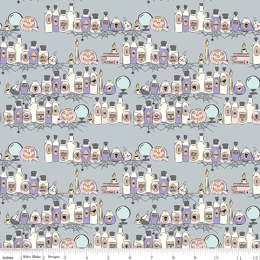 Spooky Schoolhouse | Potions Class Silver