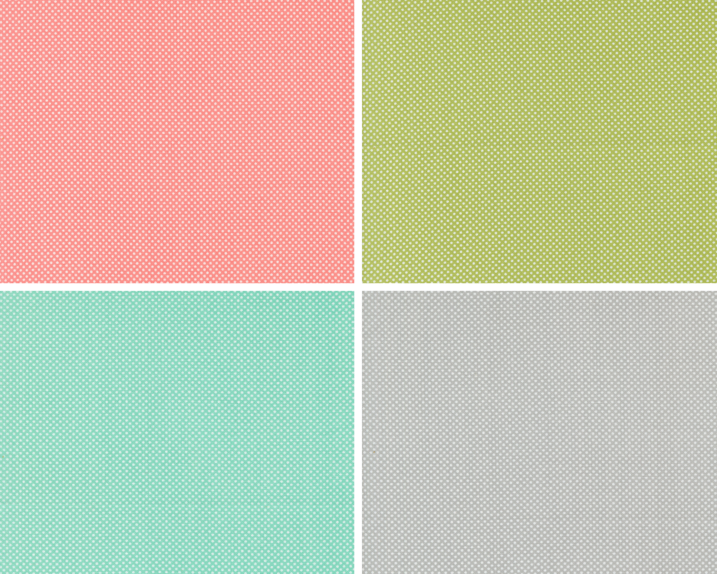 Coriander Colors | Charm Pack