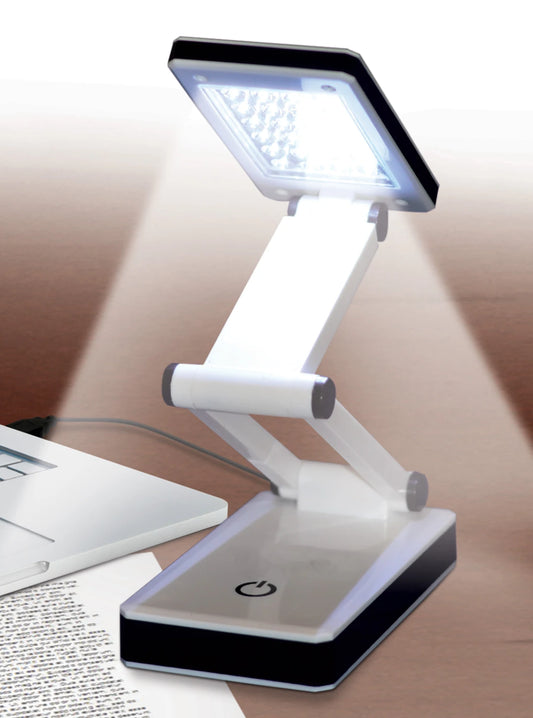 Super Bright Portable LED Lamp | Frank A Edmunds