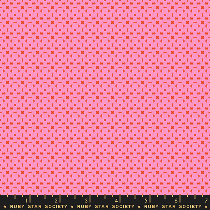 Meadow Star | Puff Blenders Dots Modern Flamingo