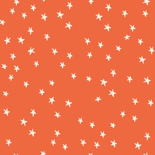 Starry | Nutmeg