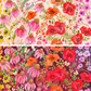 Superbloom | Fat Quarter Bundle