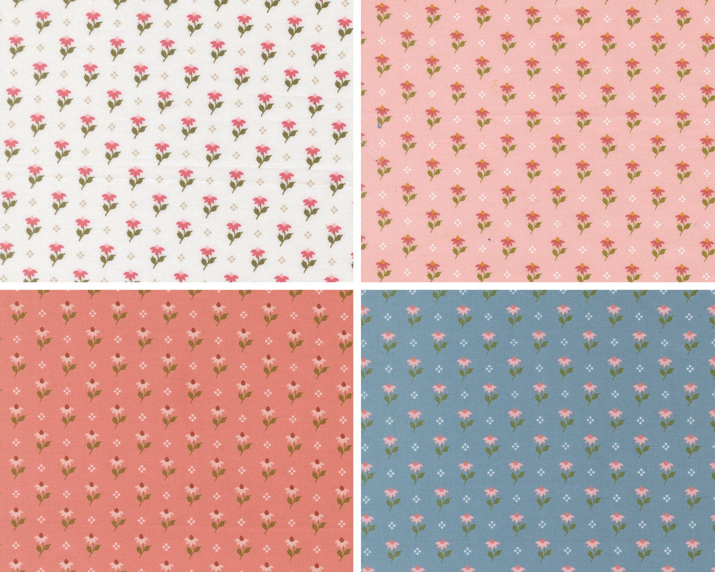 Wild Honey | Mini Charm Pack