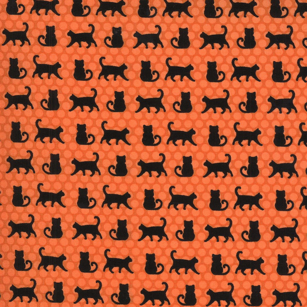 Midnight Magic 2 | Pumpkin Cat Parade