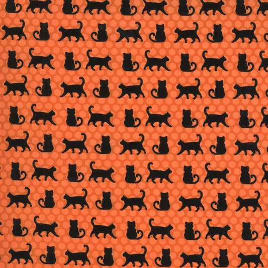 Midnight Magic 2 | Pumpkin Cat Parade