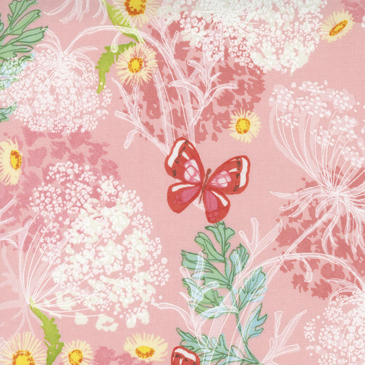 Wild Blossoms | Queen Annes Lace Florals Butterfly Princess Pink