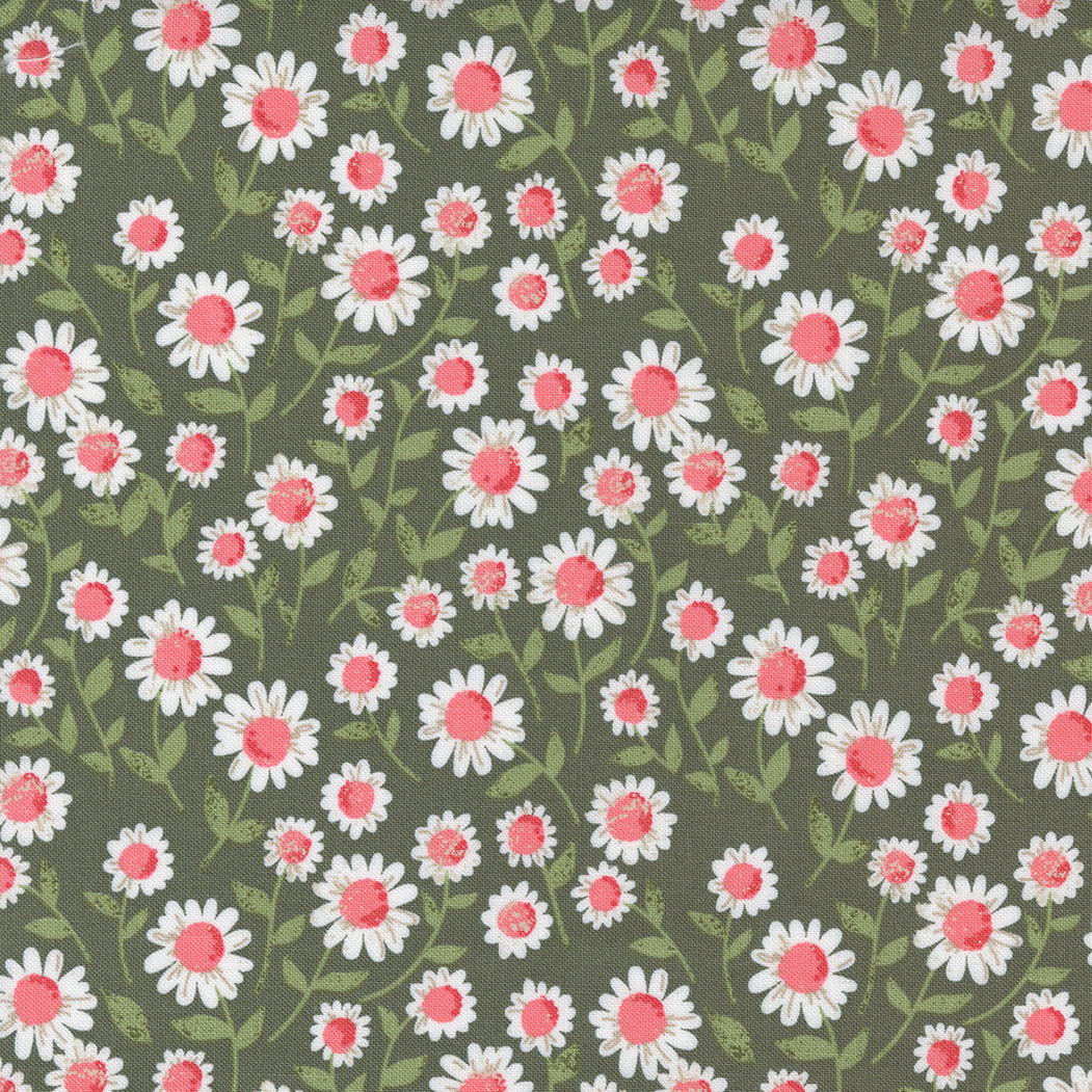 Love Note | Sweet Daisy Small Floral Olive