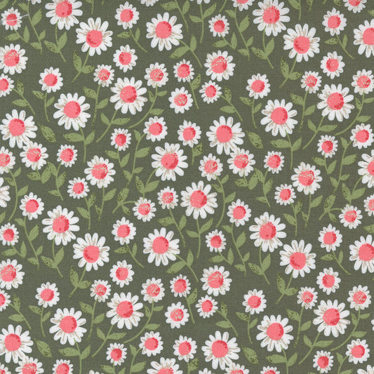 Love Note | Sweet Daisy Small Floral Olive