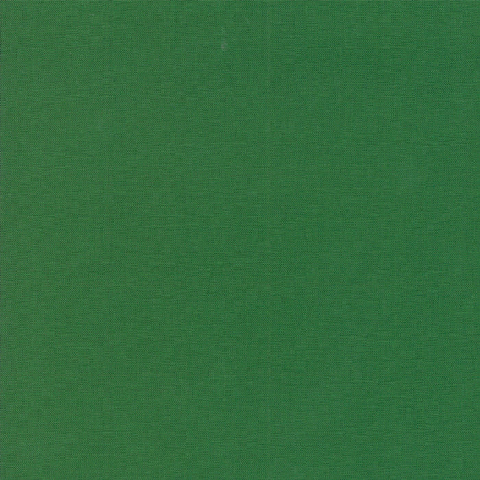Bella Solids | Dill