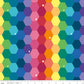Imagine | Main Rainbow Hexagons