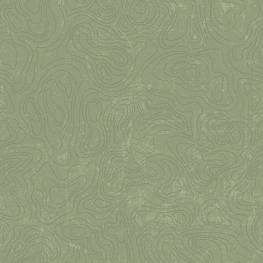 National Parks | Topographic Green