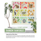 Rainbow Rainforest | Elizabeth Hartman