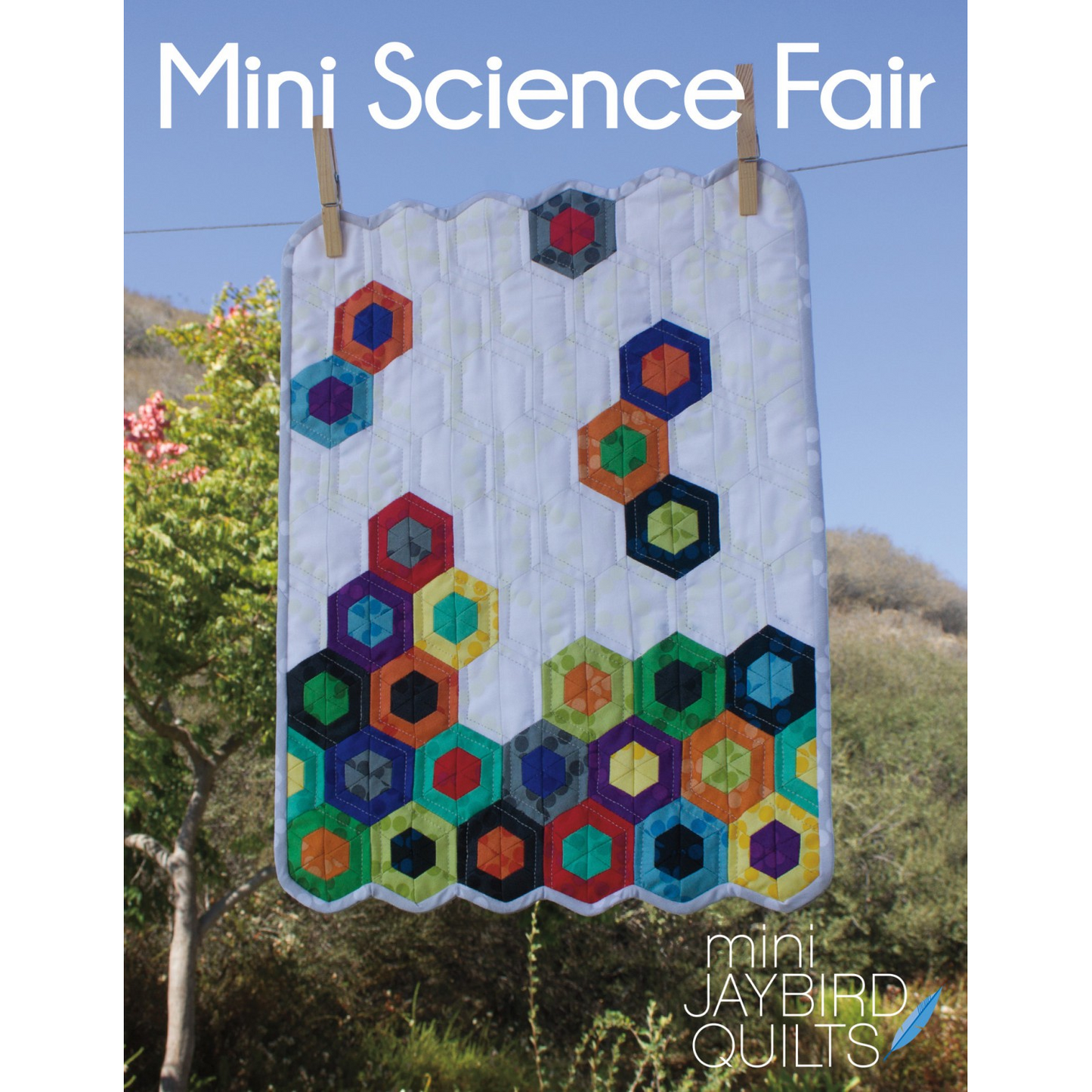 Mini Science Fair | Jaybird Quilts