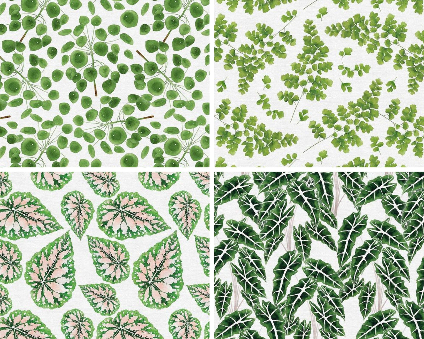 Modern Botanicals | Fat Quarter Flat Stack